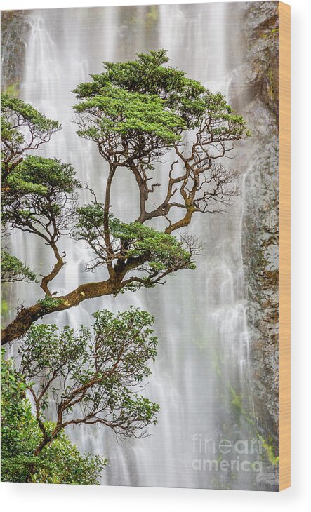 Arthur's Pass Wood Print featuring the photograph Trees and Waterfall by Colin and Linda McKie