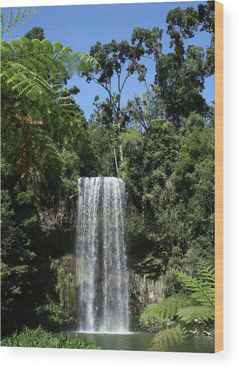 Waterfall Wood Print featuring the photograph Tropical Waterfall by Maryse Jansen