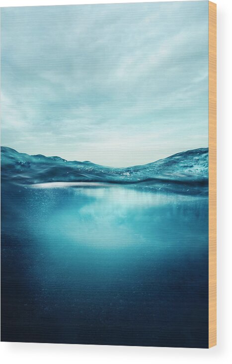 Underwater Wood Print featuring the photograph Underwater and above water by Sean Gladwell