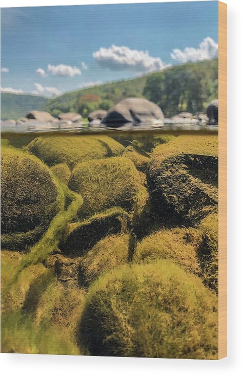 Delaware River Wood Print featuring the photograph Upper Delaware River Sullivan County NY by Amelia Pearn