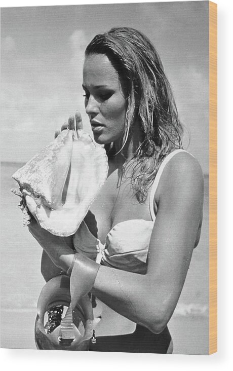 1960s Wood Print featuring the photograph URSULA ANDRESS in DR. NO -1962- UNITED ARTISTS by Album