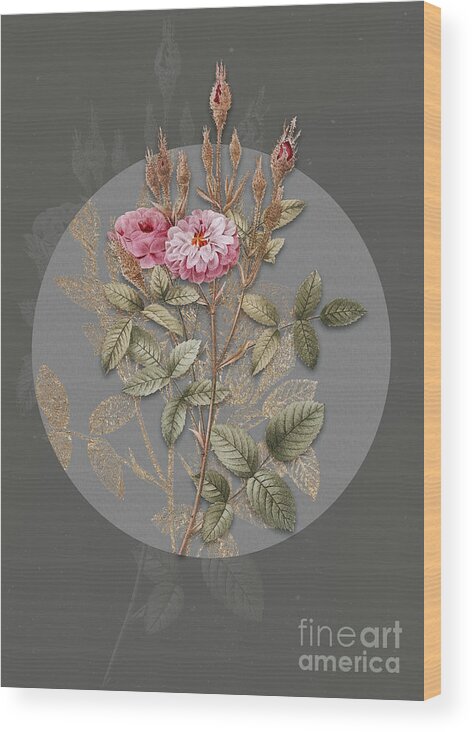 Vintage Wood Print featuring the painting Vintage Botanical Mossy Pompon Rose on Circle Gray on Gray by Holy Rock Design