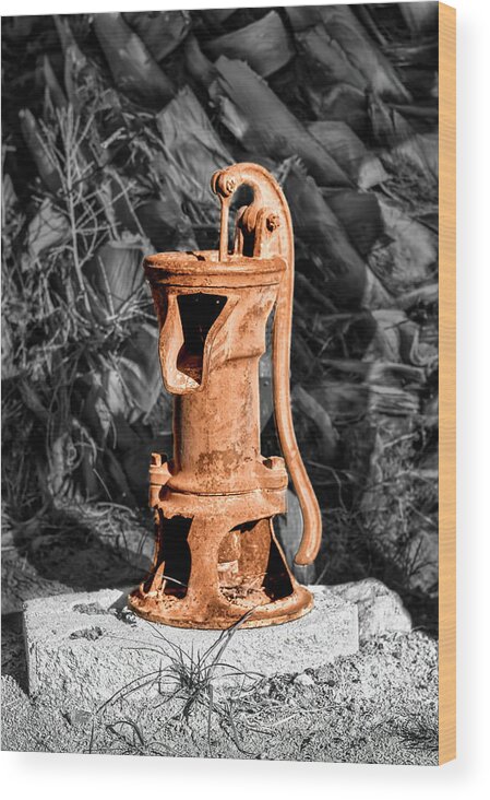 Hand Water Pump Wood Print featuring the photograph Vintage Hand Water Pump by Gene Parks