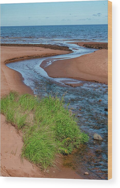 Prince Edward Island Wood Print featuring the photograph Winding Out To Sea by Marcy Wielfaert