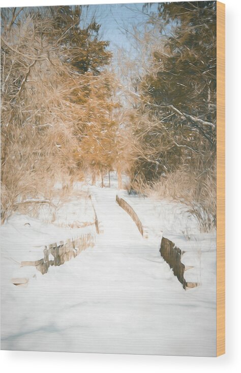 Winter Wood Print featuring the photograph Winter Trail and Bridge by Allin Sorenson
