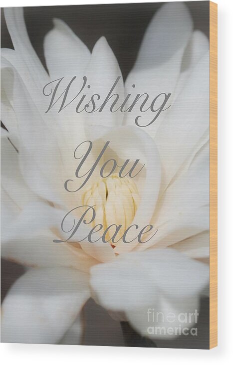 Wishing You Peace Card Wood Print featuring the photograph Wishing You Peace Magnolia Card by Carol Groenen