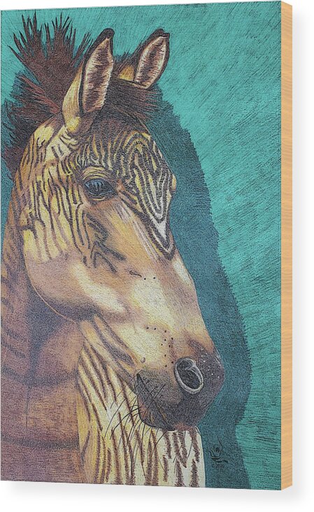 Zorse Breed Wood Print featuring the drawing Zorse Horse by Equus Artisan
