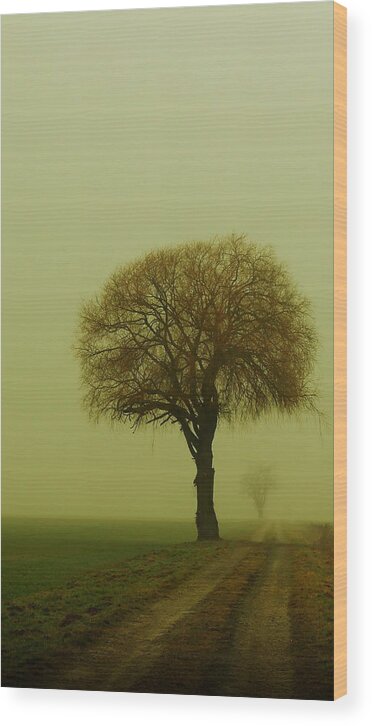 Fog Wood Print featuring the photograph Walk In The Fog by Franziskus Pfleghart