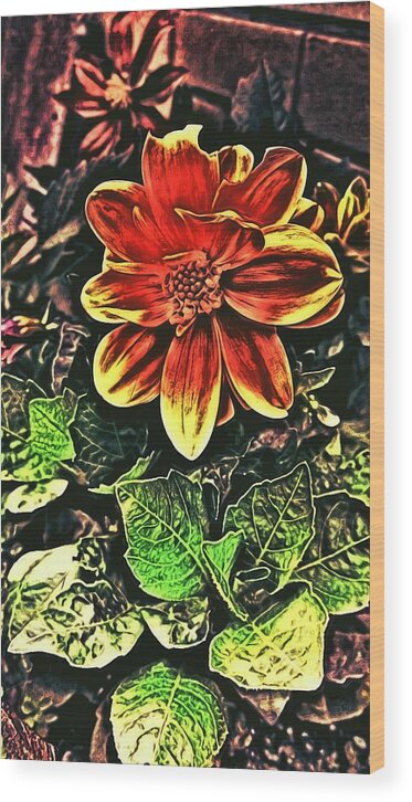 Love Wood Print featuring the photograph Abstract Flowers #4 by Chris Drake