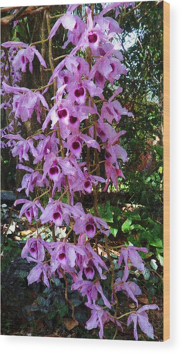 Interior Wood Print featuring the painting Purple Orchids #5 by Xueyin Chen