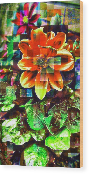 Love Wood Print featuring the photograph Abstract Flowers #5 by Chris Drake