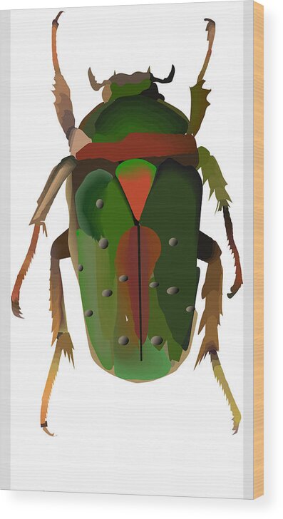 Bug Wood Print featuring the photograph AI Beetle by Terry Pelch