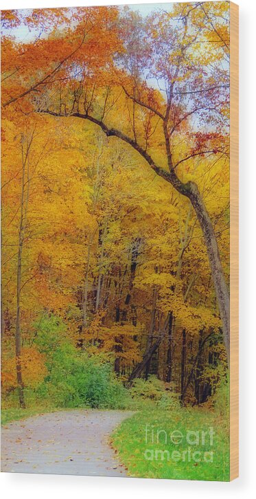 Autumn Wood Print featuring the photograph Autumn Peak Colors by Kay Novy