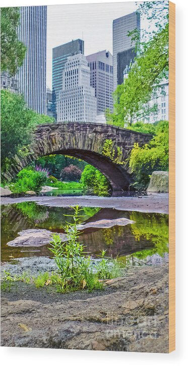 Nature Wood Print featuring the photograph Central Park Nature Oasis by Charlie Cliques