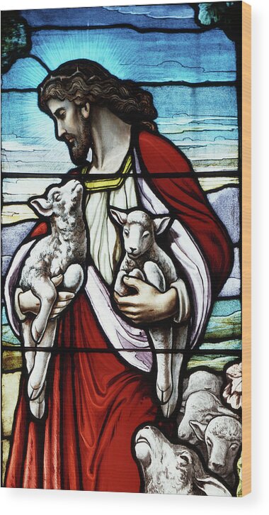 Photography Wood Print featuring the photograph Christ The Good Shepherd With His Flock by Vintage Images