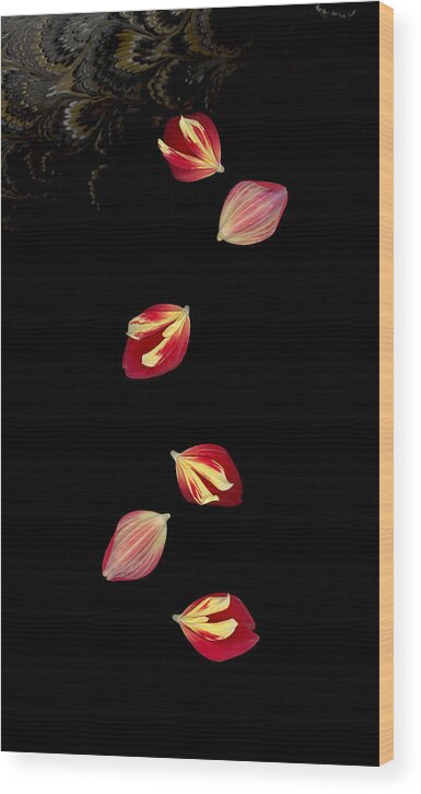 Petal Wood Print featuring the photograph Falling by Suzanne Gaff