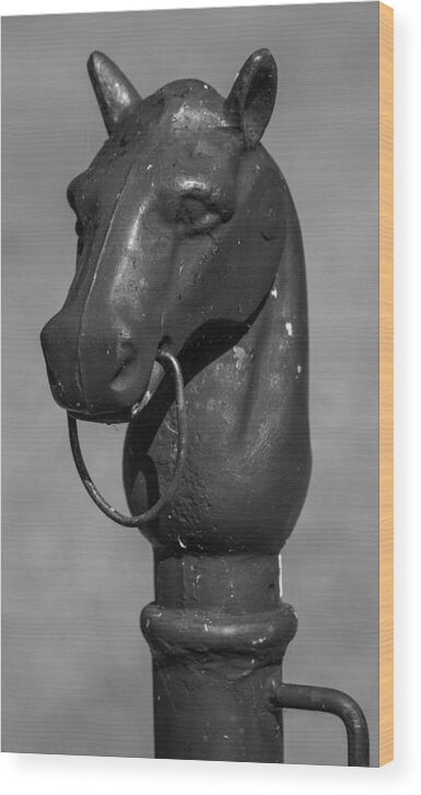 Belle Meade Wood Print featuring the photograph Horse Head Hitching Post by Robert Hebert