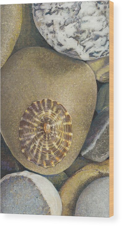 Birdseye Art Studio Wood Print featuring the painting Limpet Shell by Nick Payne