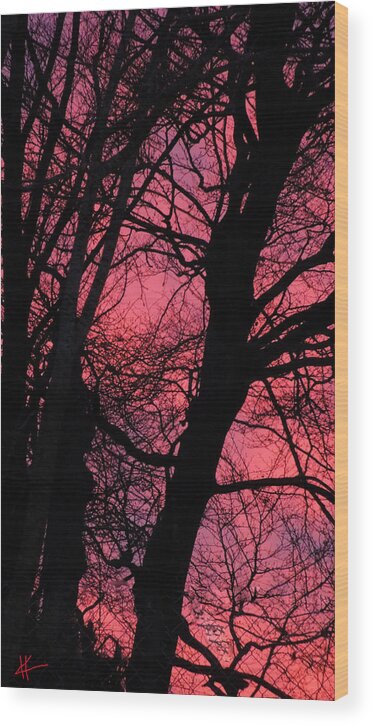 Colette Wood Print featuring the photograph Magic Sunset by Colette V Hera Guggenheim