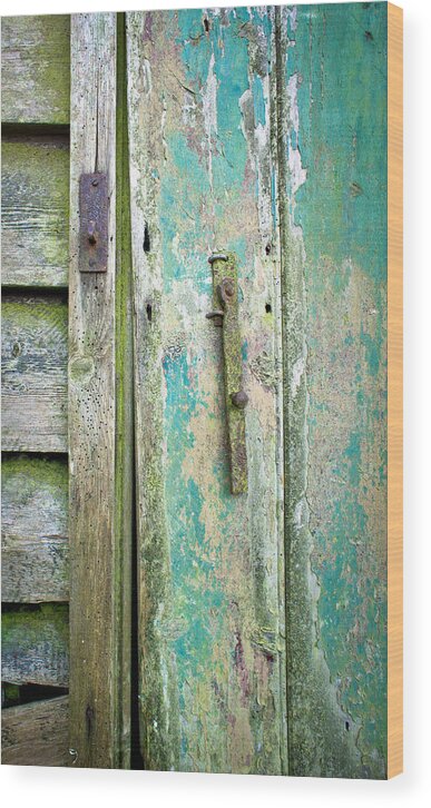 Background Wood Print featuring the photograph Old shed door by Tom Gowanlock