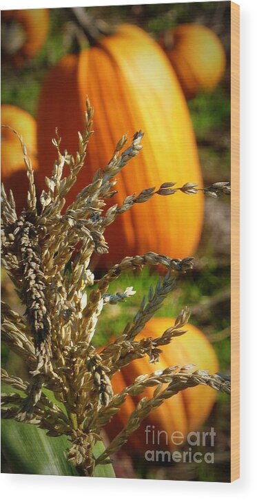 Pumpkin Wood Print featuring the photograph Pumpkin Glow by Susan Garren