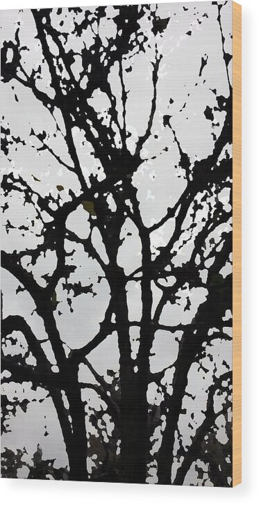 Tree Wood Print featuring the digital art Silhouette Of Winter Tree by Eric Forster