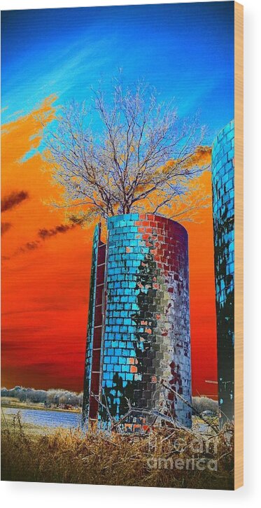 Silos Wood Print featuring the photograph Twin Silos by Karen Newell