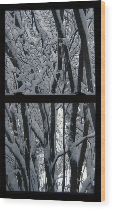 Window Wood Print featuring the photograph Winter Window by Wesley Elsberry