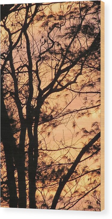 Sky Wood Print featuring the photograph Orange Silhouette by Loretta Pokorny