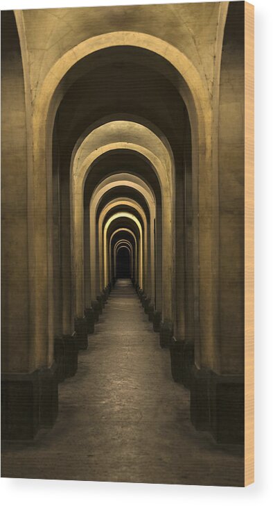 Architecture Wood Print featuring the photograph Arches of my city by Jaroslaw Blaminsky