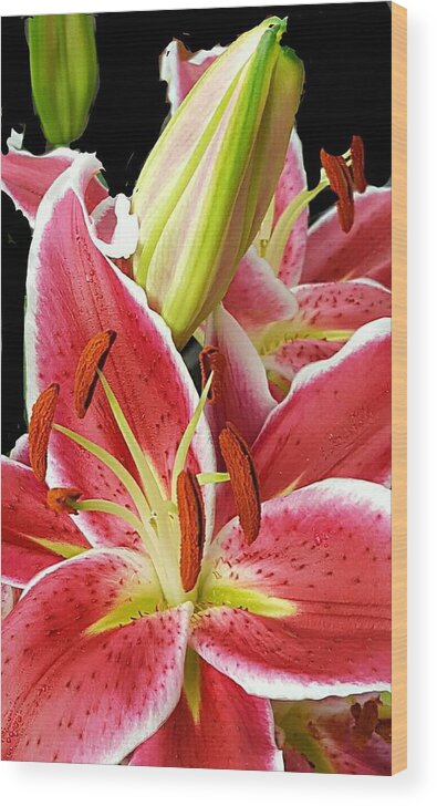 Asian Lily Wood Print featuring the digital art Asian Lily Faces by Pamela Smale Williams