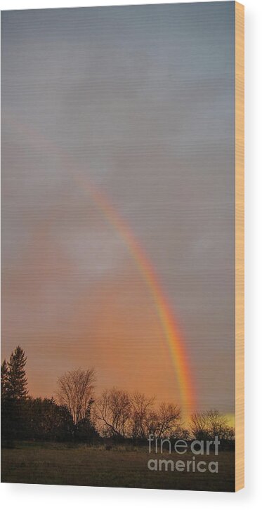 Cheryl Baxter Photography Wood Print featuring the photograph Autumn Rainbow by Cheryl Baxter