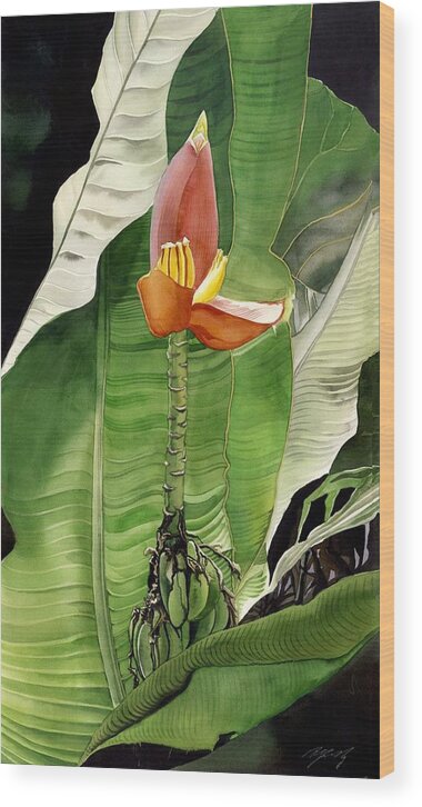 Flower Wood Print featuring the painting Banana Blossom by Alfred Ng