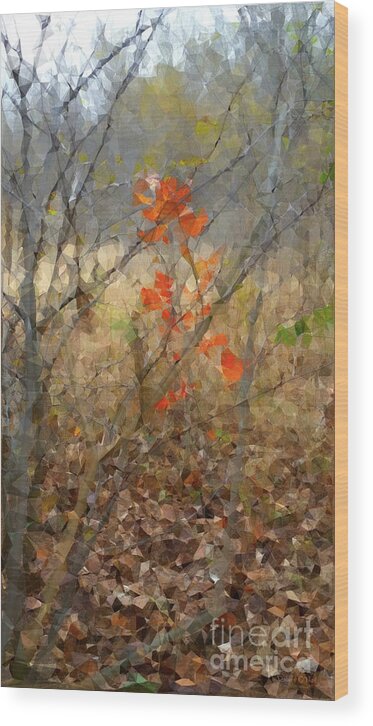 Fall Wood Print featuring the photograph Beauty in Nature SG by Robert ONeil
