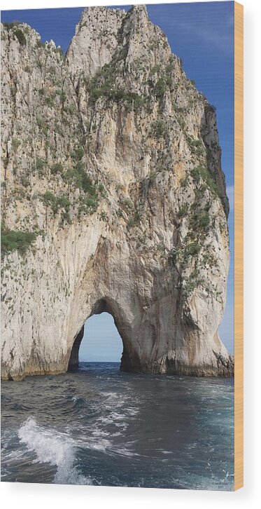 Capri Wood Print featuring the photograph Capri Faraglioni Rock by Judith Rhue