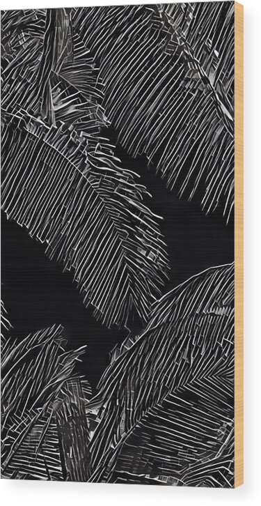 #flowersofaloha #blackandwhite #coconutpalms Wood Print featuring the photograph Coconut Palms in Black and White by Joalene Young