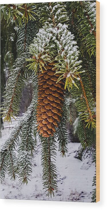 Pine Wood Print featuring the photograph Essence of winter by Bruce Carpenter