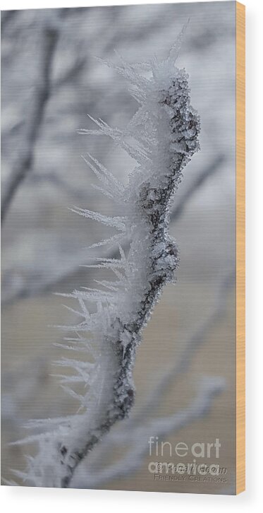 Nature Wood Print featuring the photograph Frozen 2 by Ronald Hoehn