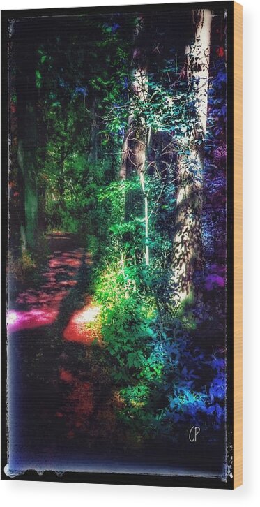 Woods Wood Print featuring the photograph Into the Woods by Christine Paris