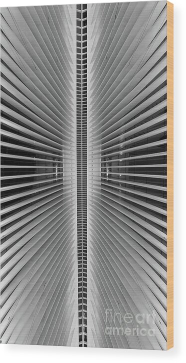 Oculus Wood Print featuring the photograph Line Of Symmetry BW by Michael Ver Sprill