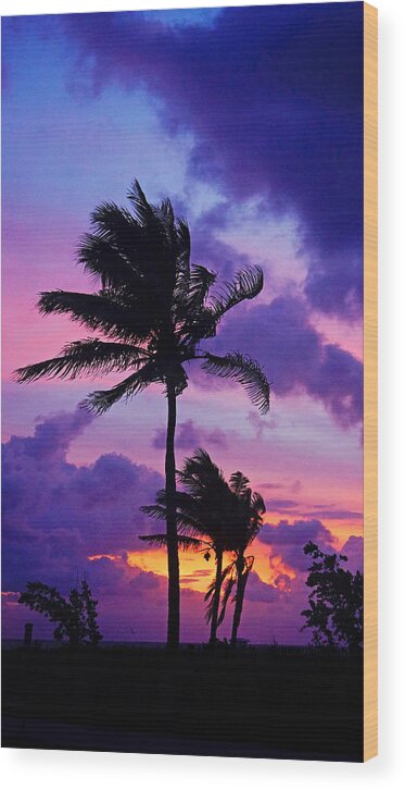 Purple Wood Print featuring the photograph Purple Palm Sunrise by Lawrence S Richardson Jr
