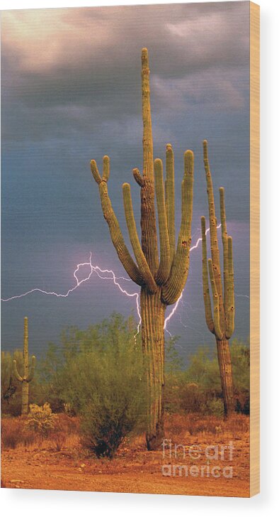 Lightning Wood Print featuring the photograph Saguaro and Lightning Custom by Joanne West