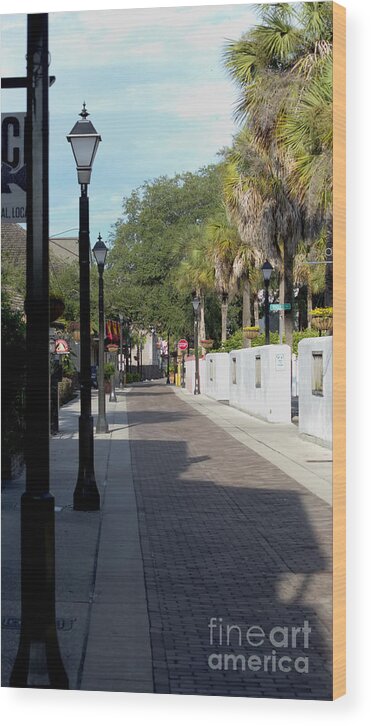 Hypolita Wood Print featuring the photograph Shady Hypolita Street by Ules Barnwell