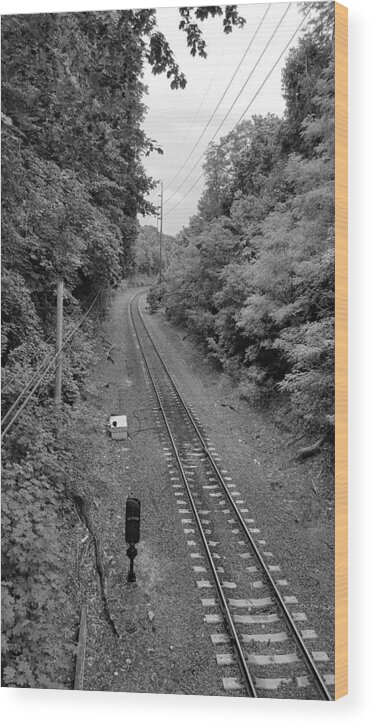 Train Tracks Wood Print featuring the photograph St James Train Tracks B W by Rob Hans