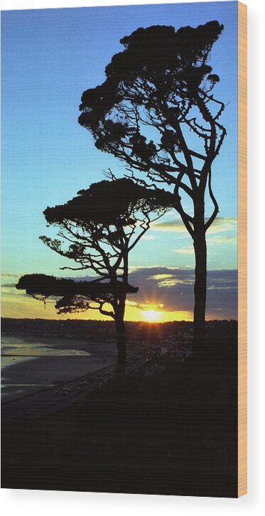  Wood Print featuring the photograph Sunset Trees by Philip de la Mare