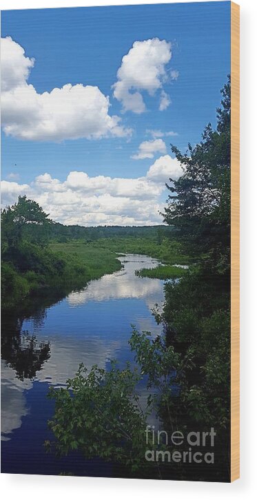 Reflections Wood Print featuring the photograph Water and Woods in Warren by Dani McEvoy