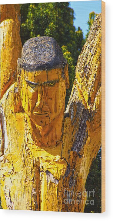 Wood Wood Print featuring the photograph Wood sculpture in a garden by Eva-Maria Di Bella