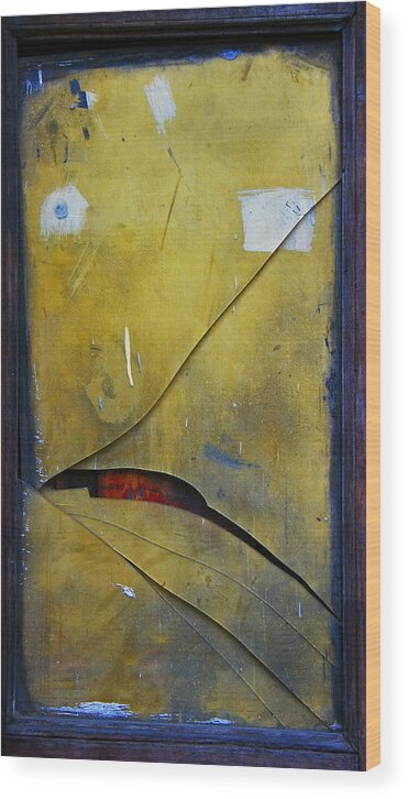 Abstract Wood Print featuring the photograph Xalapa Miro by Skip Hunt