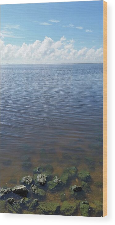 Across Matagorda Bay Wood Print featuring the photograph Across Matagorda Bay by Jimmie Bartlett