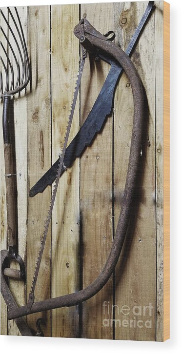 Hacksaw Wood Print featuring the photograph Hack Saw on Barn Wall by Mary Capriole